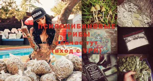 крисы Алексин
