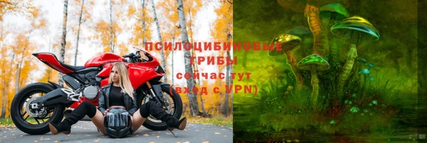 крисы Алексин