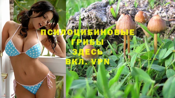 ПСИЛОЦИБИНОВЫЕ ГРИБЫ Алексеевка